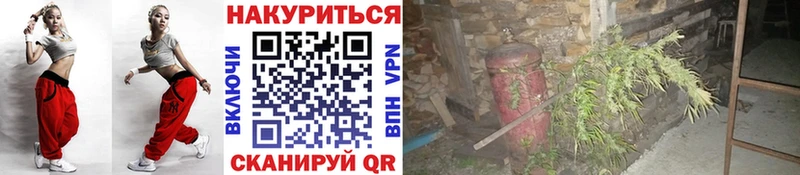 Названия наркотиков Электроугли Codein  Alpha-PVP  МЕФ  ГАШИШ 