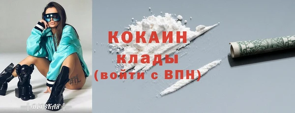 тгк Абаза