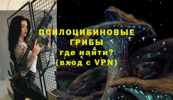 шишки Абинск