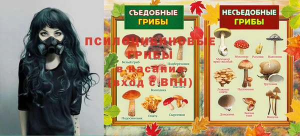 шишки Абинск