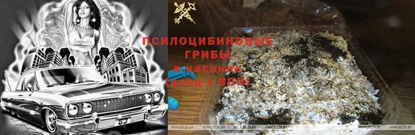 тгк Абаза