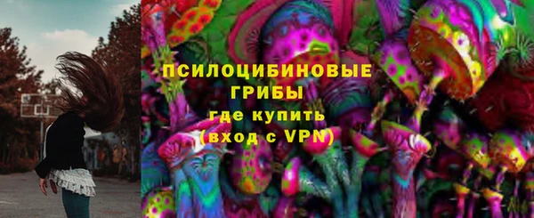 тгк Абаза