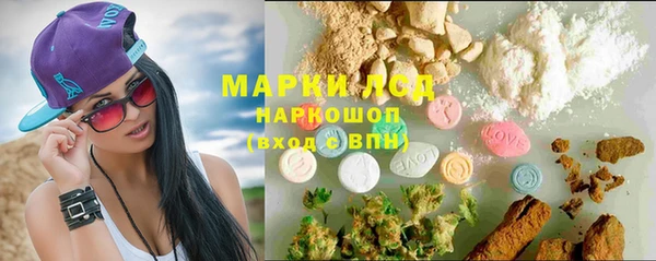 тгк Абаза