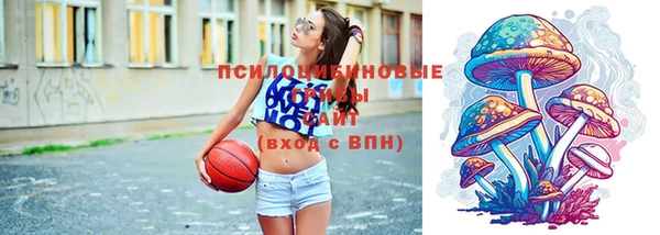 шишки Абинск